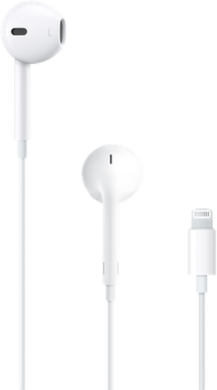 EarPods Lightning Connector